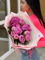11 пионов, Жакорма — изображение 3